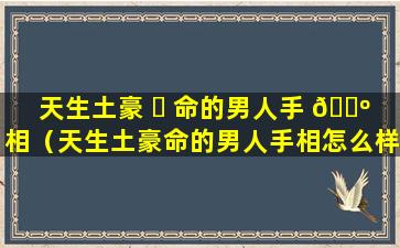 天生土豪 ☘ 命的男人手 🌺 相（天生土豪命的男人手相怎么样）